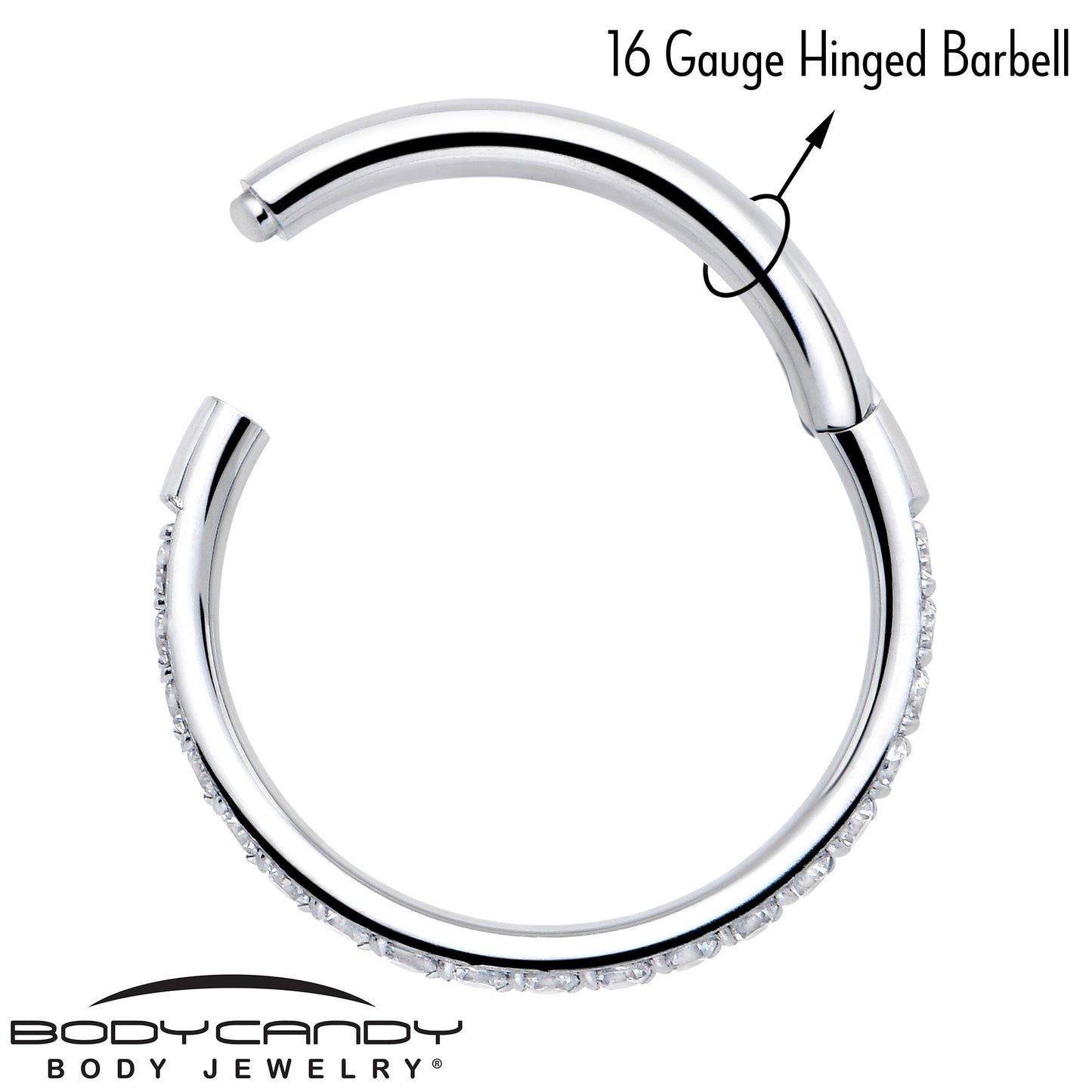 16G Clear Cubic Zirconia Forward Facing Hinged Segment Ring