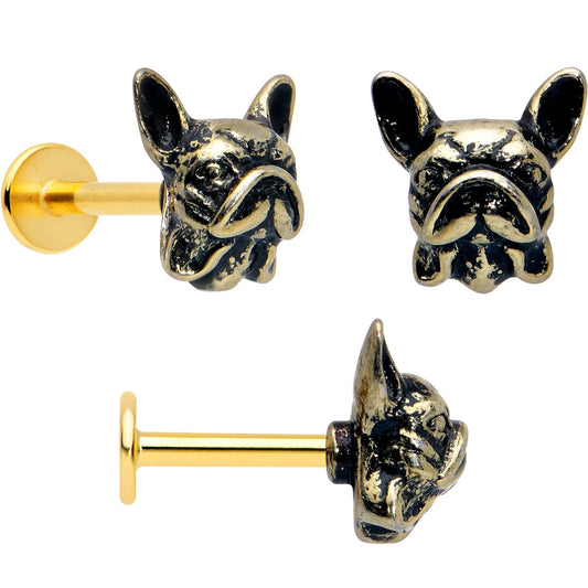 16G French Bulldog Flat Back Earring Set Internally Threaded 3 Pack