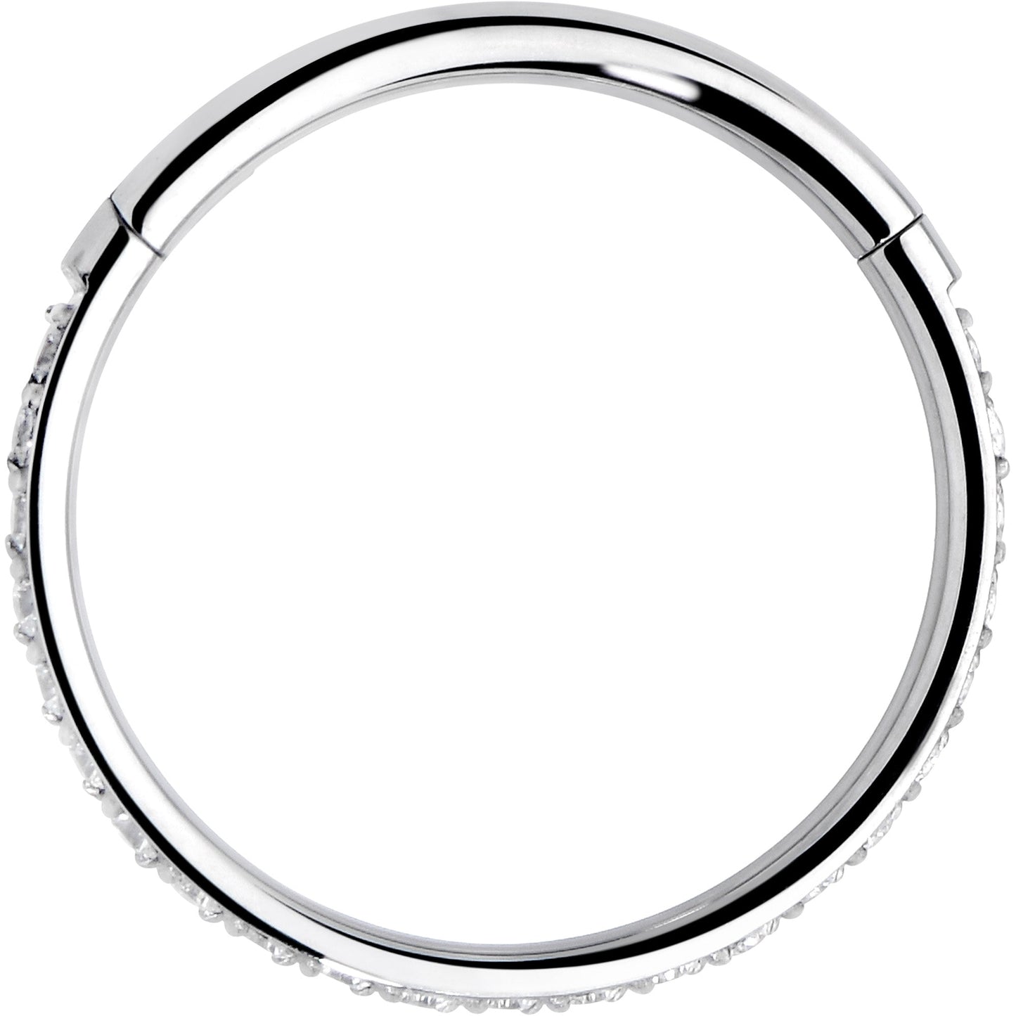 18G 3/8 Clear CZ Gem Titanium Forward Facing Hinged Segment Ring