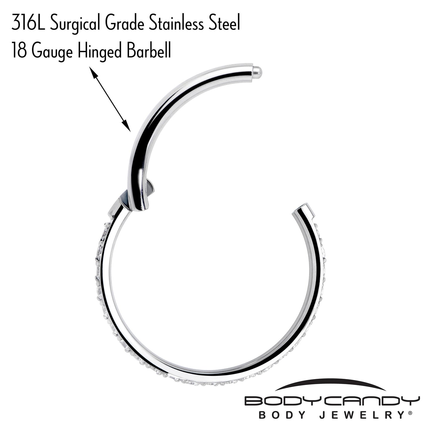 18G 3/8 Clear CZ Gem Titanium Forward Facing Hinged Segment Ring