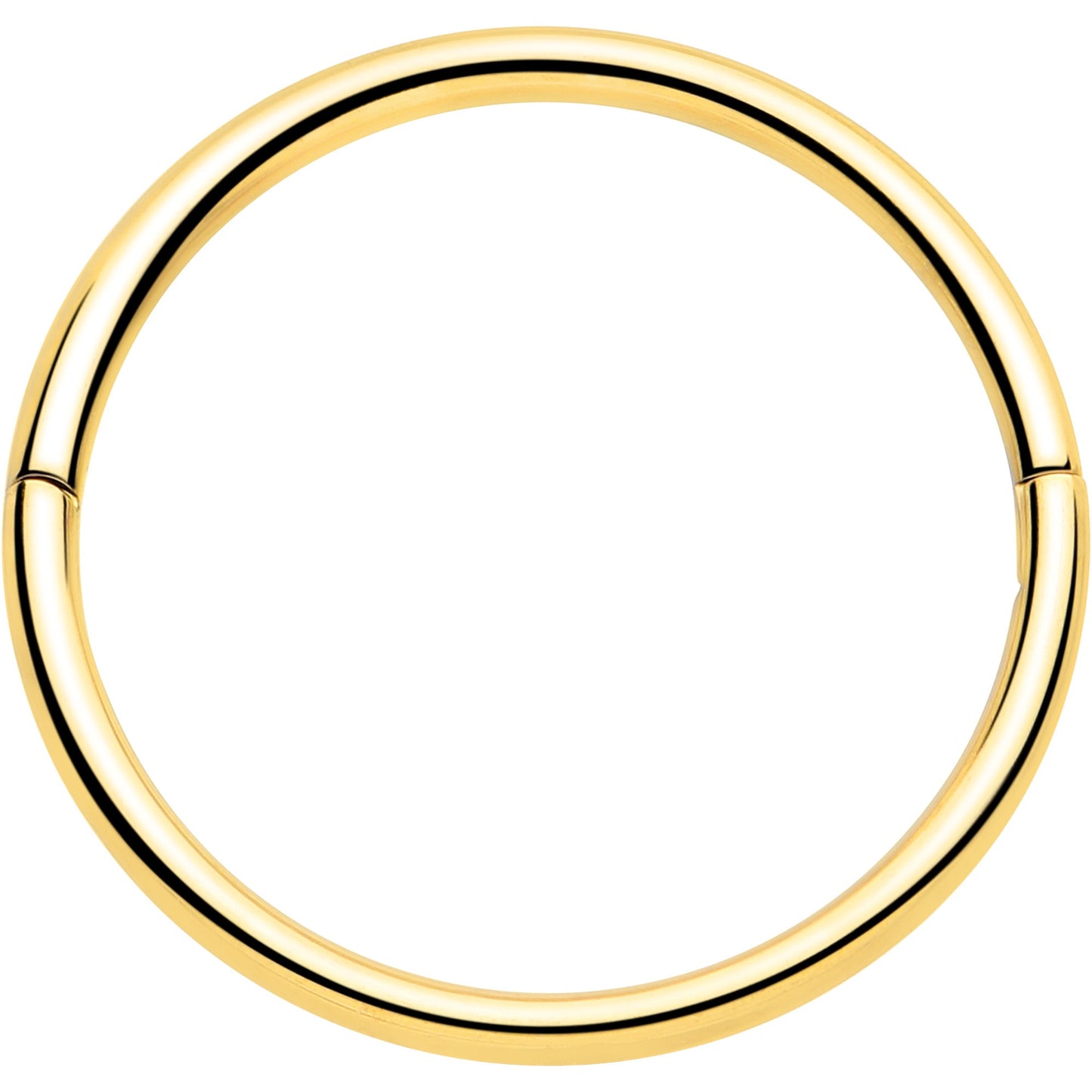 20G Implant Grade Titanium Half Closure Hinged Segment Ring