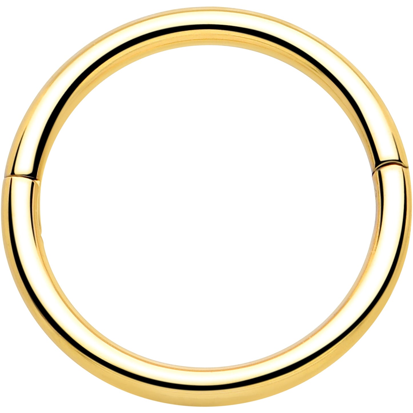 20G Implant Grade Titanium Half Closure Hinged Segment Ring