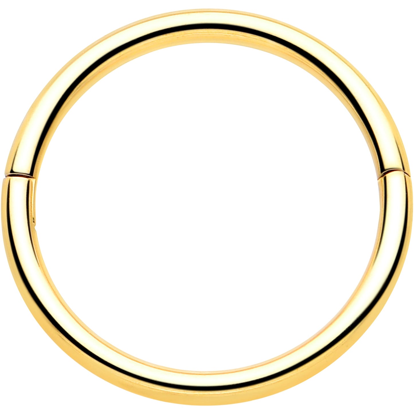 20G Implant Grade Titanium Half Closure Hinged Segment Ring