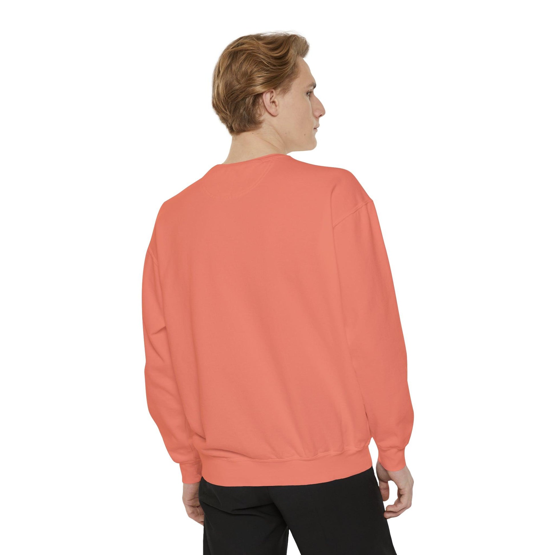 Castled Unisex Garment-Dyed Relaxed Fit Sweatshirt Sizes S-3XL - Lizard Vigilante