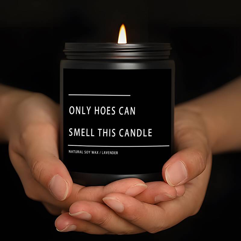 Funny Only Hoes Can Smell This Candle Perfect Funny Novelty Gag Gifts Scented Candle, Perfect Scented for Home, Lavender Scented Candle Ideal for Home Aromatherapy & Meditation, Perfect Gift for Men Him Friends Guys Classmate