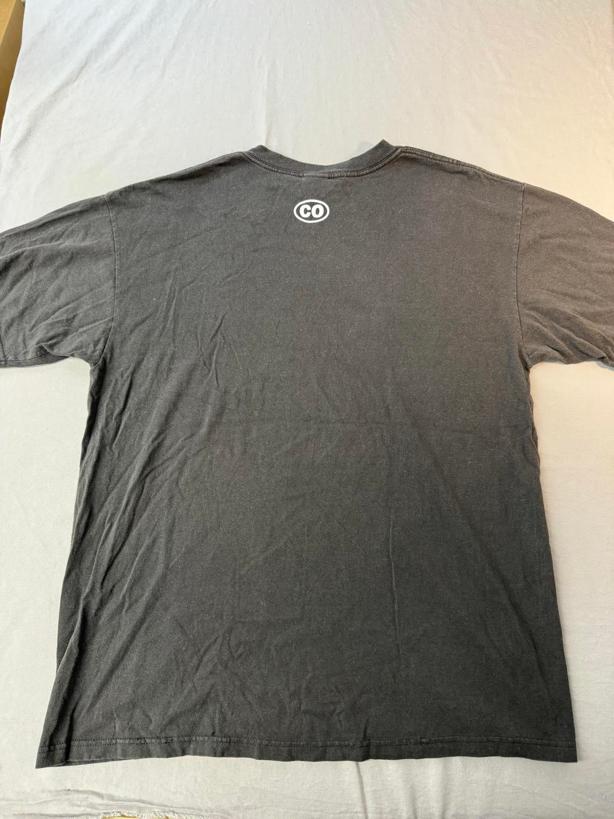 Faded Colorado Vail Y2K Flame Biker Style Tee - XL