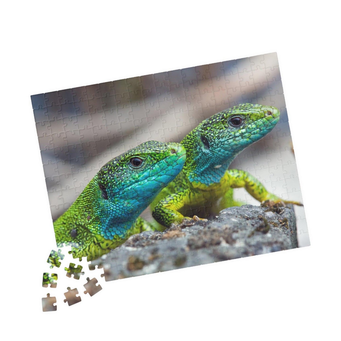 Lizard Buds Puzzle (110, 252, 520, 1014-piece) - Lizard Vigilante