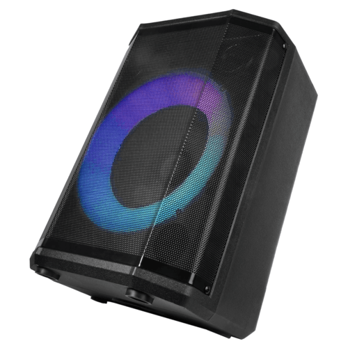 Supersonic 8" Bluetooth Speaker : With True Wireless Technology