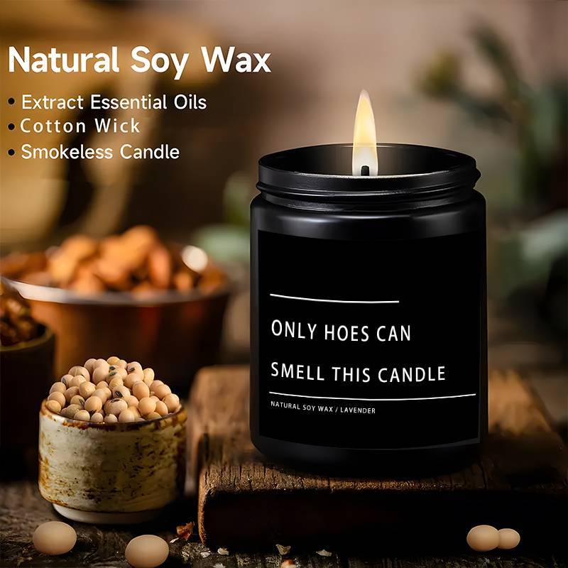 Funny Only Hoes Can Smell This Candle Perfect Funny Novelty Gag Gifts Scented Candle, Perfect Scented for Home, Lavender Scented Candle Ideal for Home Aromatherapy & Meditation, Perfect Gift for Men Him Friends Guys Classmate