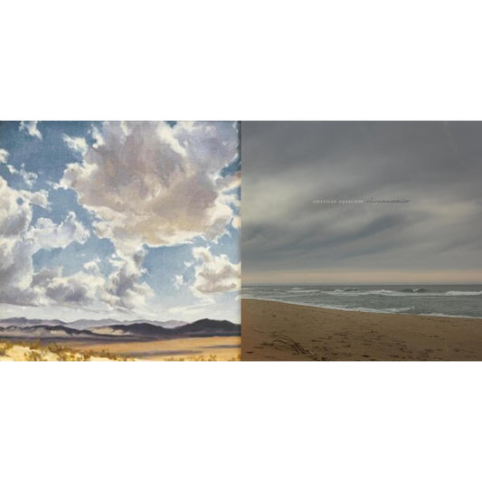 American Aquarium - Fear Of Standing Still & Chicamacomico - CD Bundle