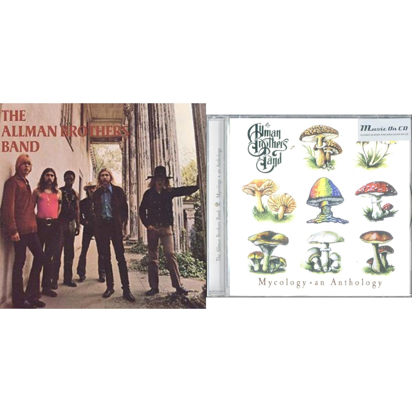Allman Brothers Band & Mycology: An Anthology (Import)