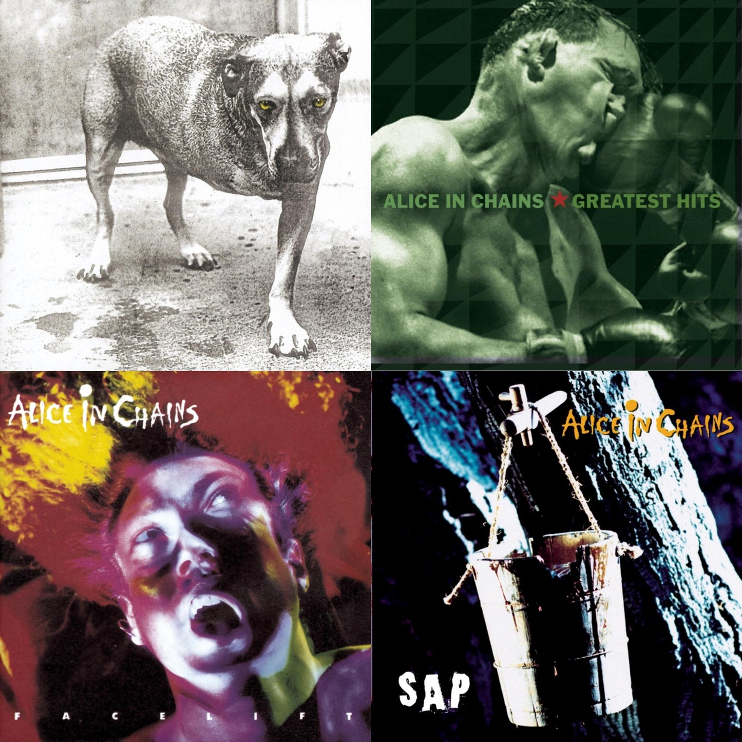 Greatest Hits & Sap & Facelift & Alice In Chains