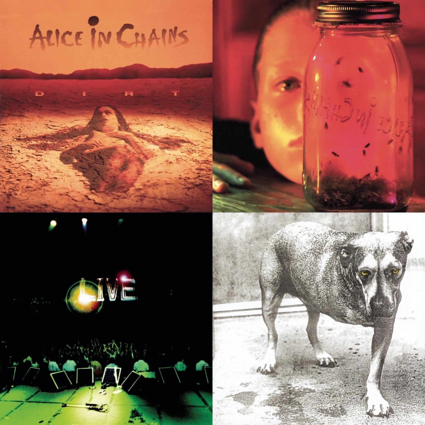 Dirt & Jar Of Flies & Live & Alice In Chains