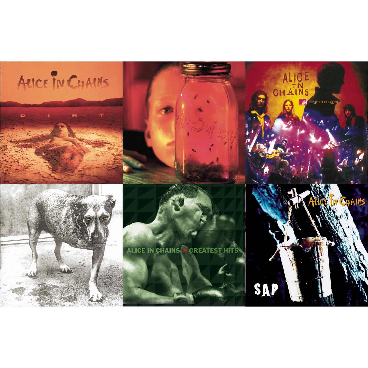 Dirt & Jar Of Flies & Greatest Hits & Unplugged & Sap & Alice In Chains