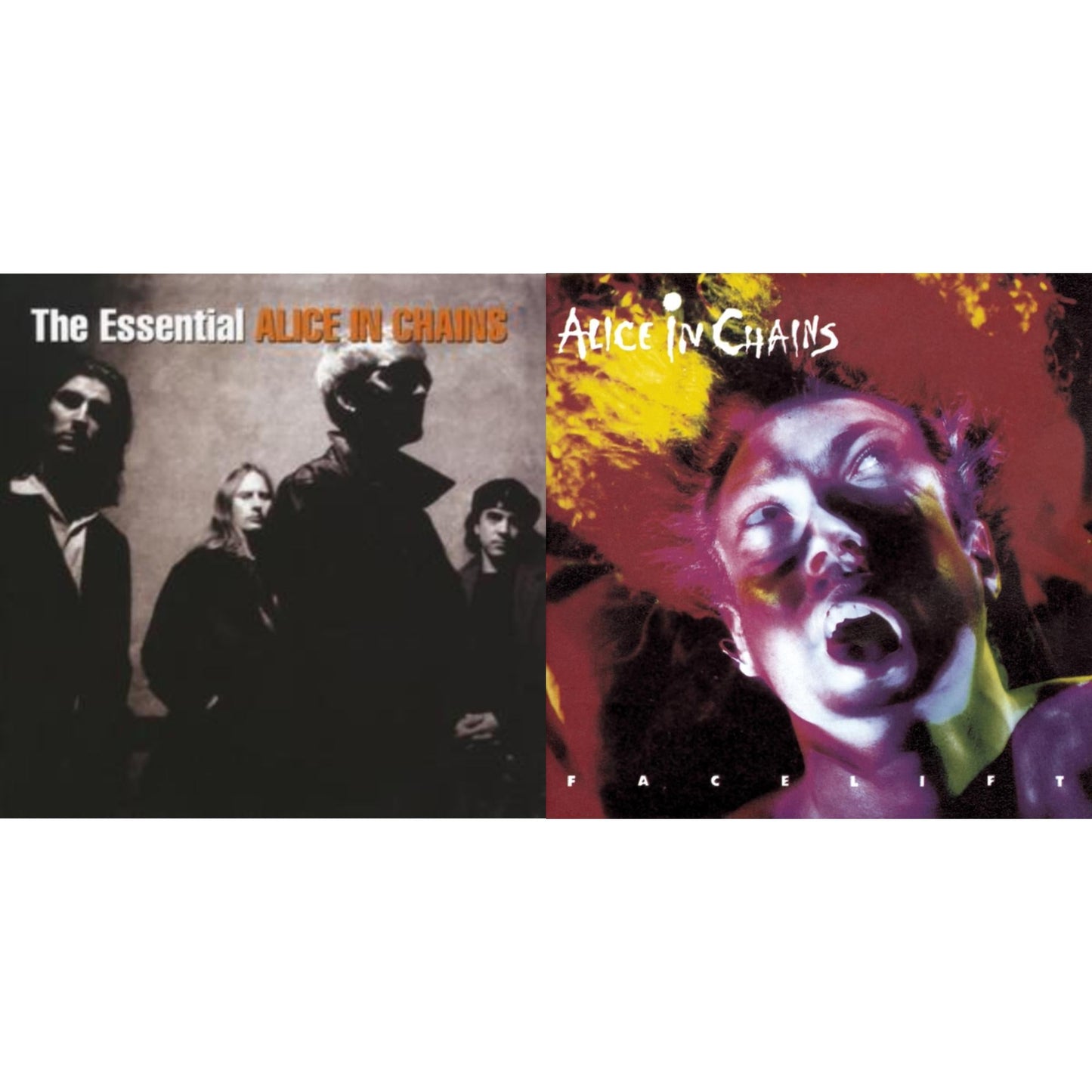 Essential Alice In Chains & Facelift
