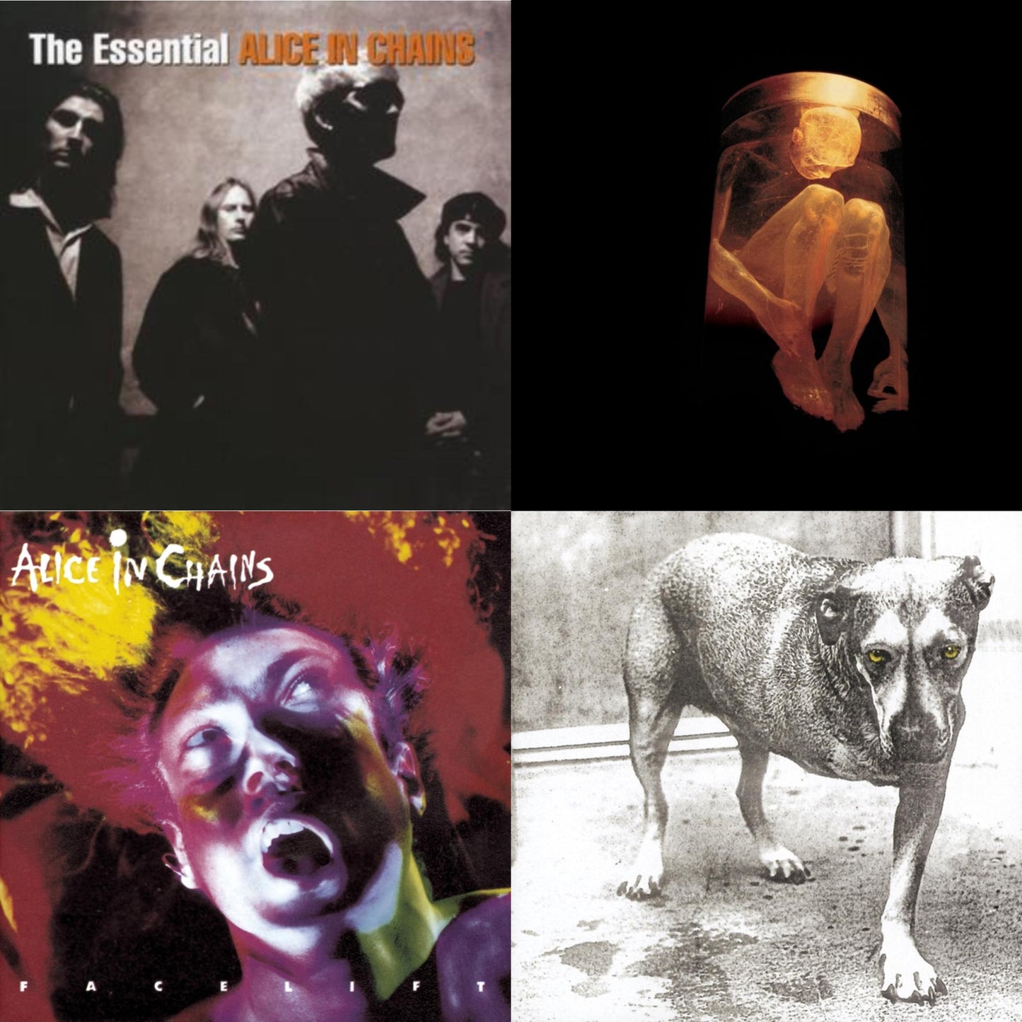 Essential Alice In Chains & Nothing Safe: Best Of The Box & Facelift & Alice In Chains