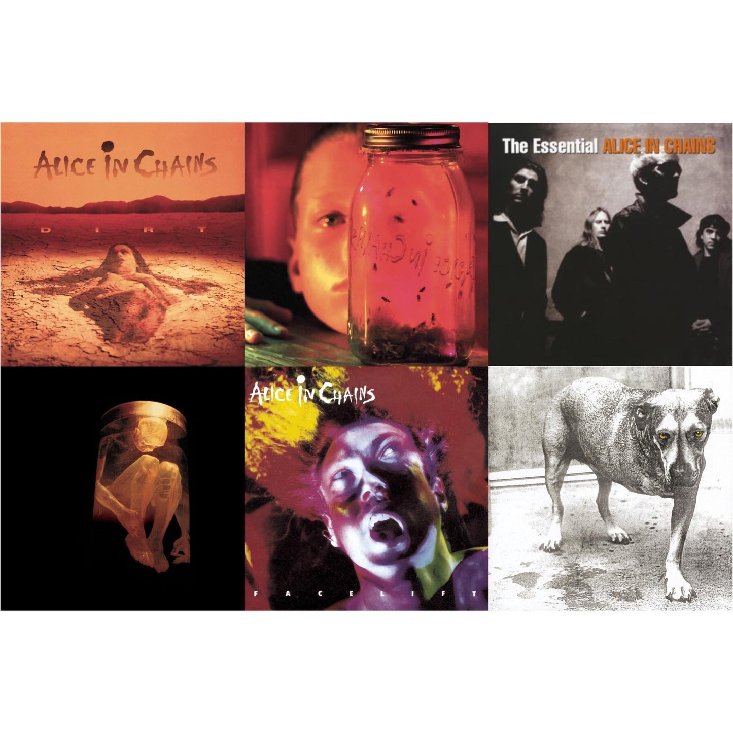 Dirt & Jar Of Flies & Essential Alice In Chains & Nothing Safe: Best Of The Box & Facelift & Alice In Chains