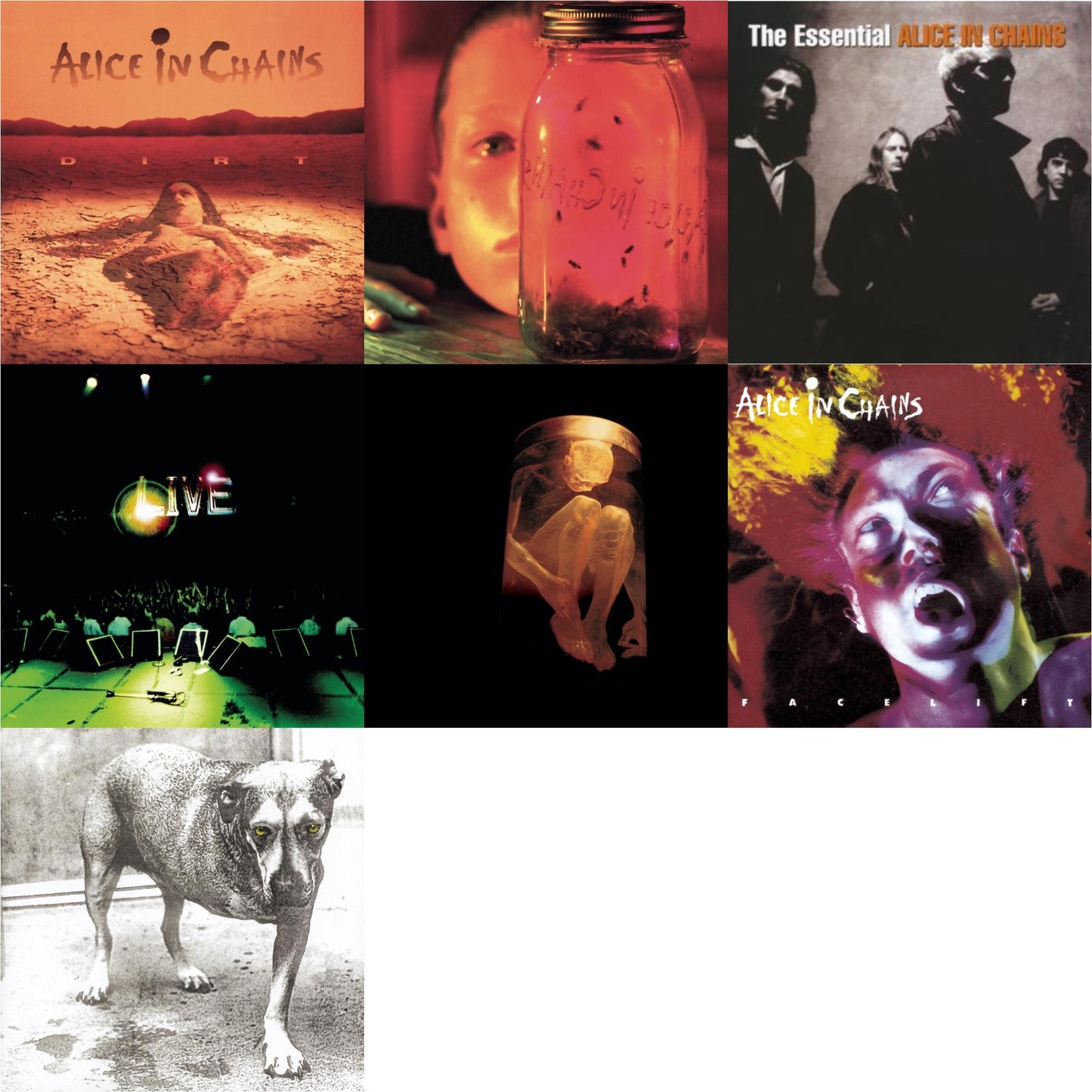 Dirt & Jar Of Flies & Essential Alice In Chains & Live & Nothing Safe: Best Of The Box & Facelift & Alice In Chains