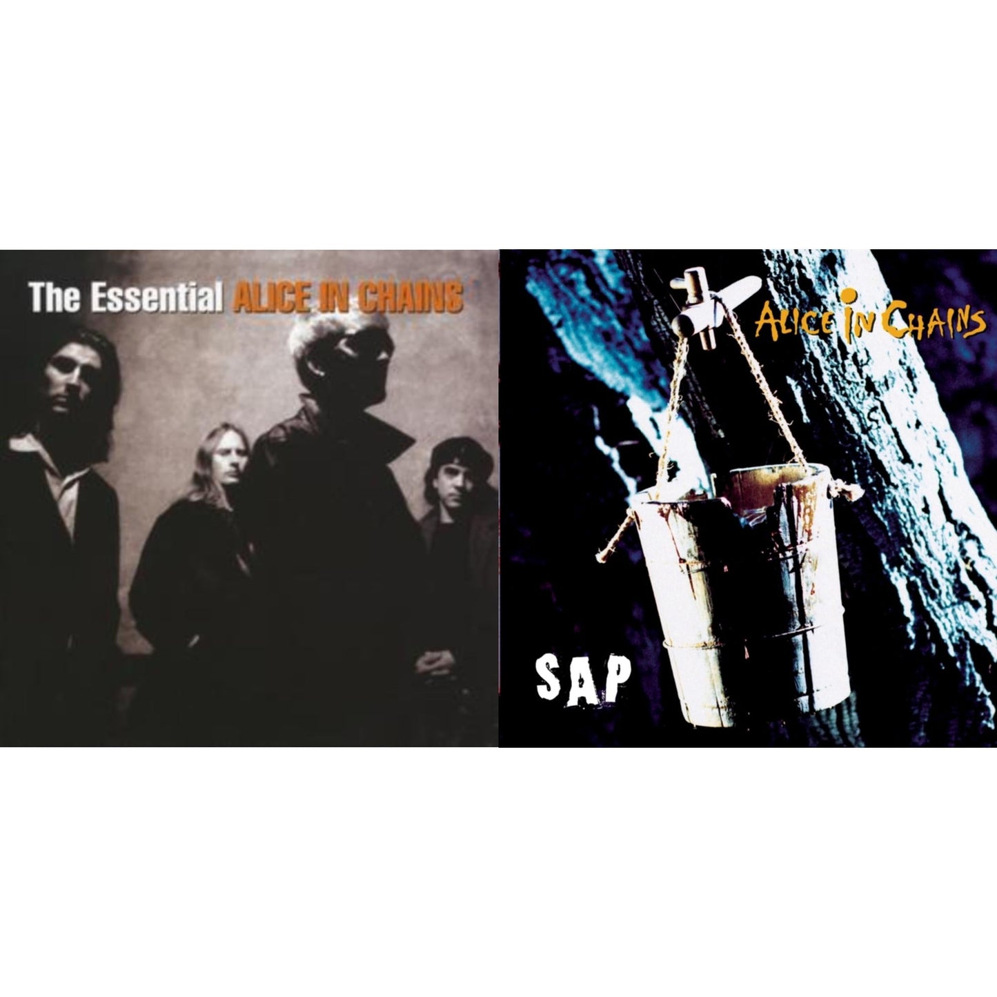 Essential Alice In Chains & Sap