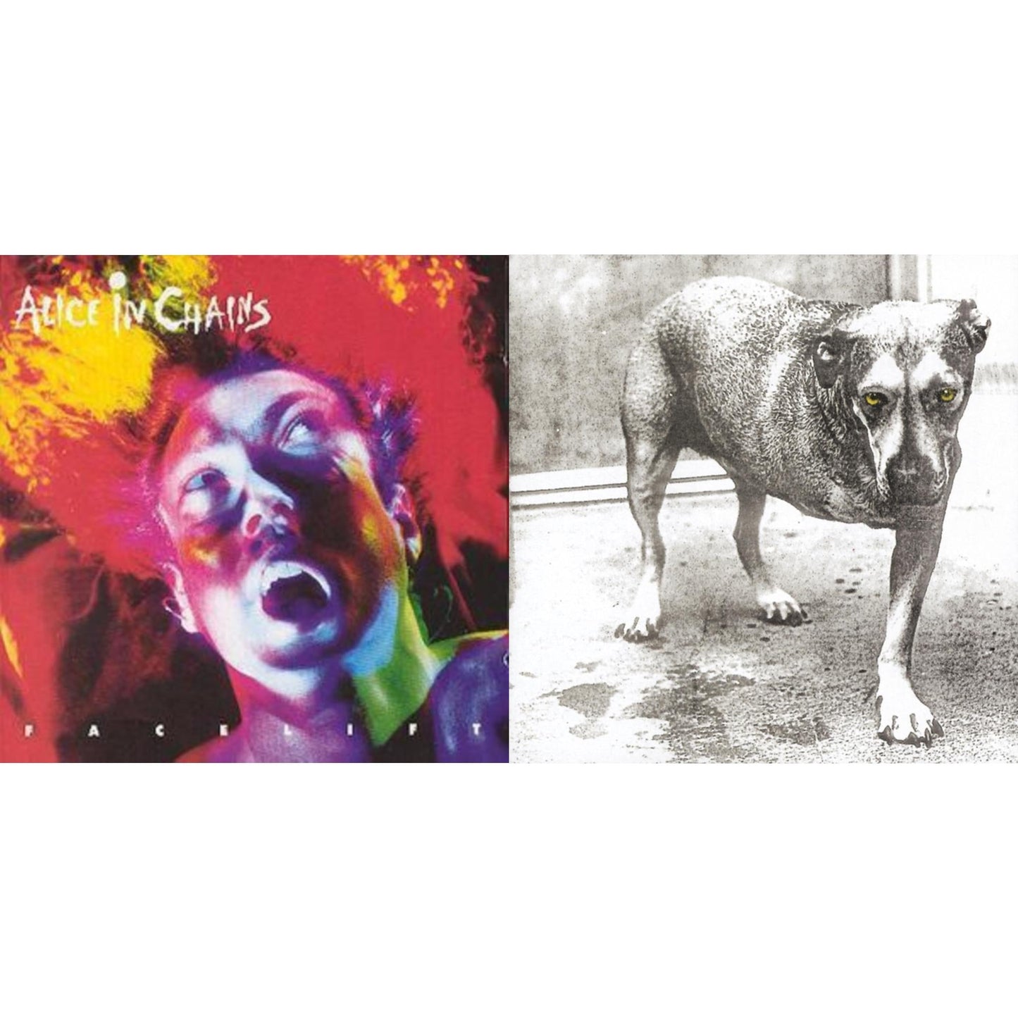 Alice In Chains - Facelift & Alice In Chains - CD Bundle
