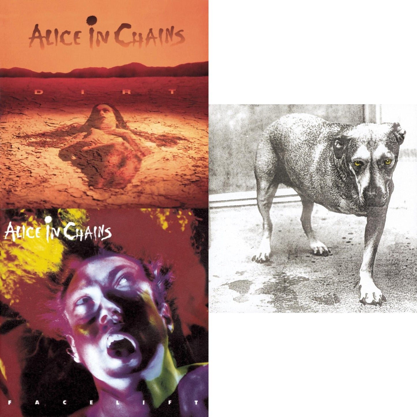 Dirt & Facelift & Alice In Chains