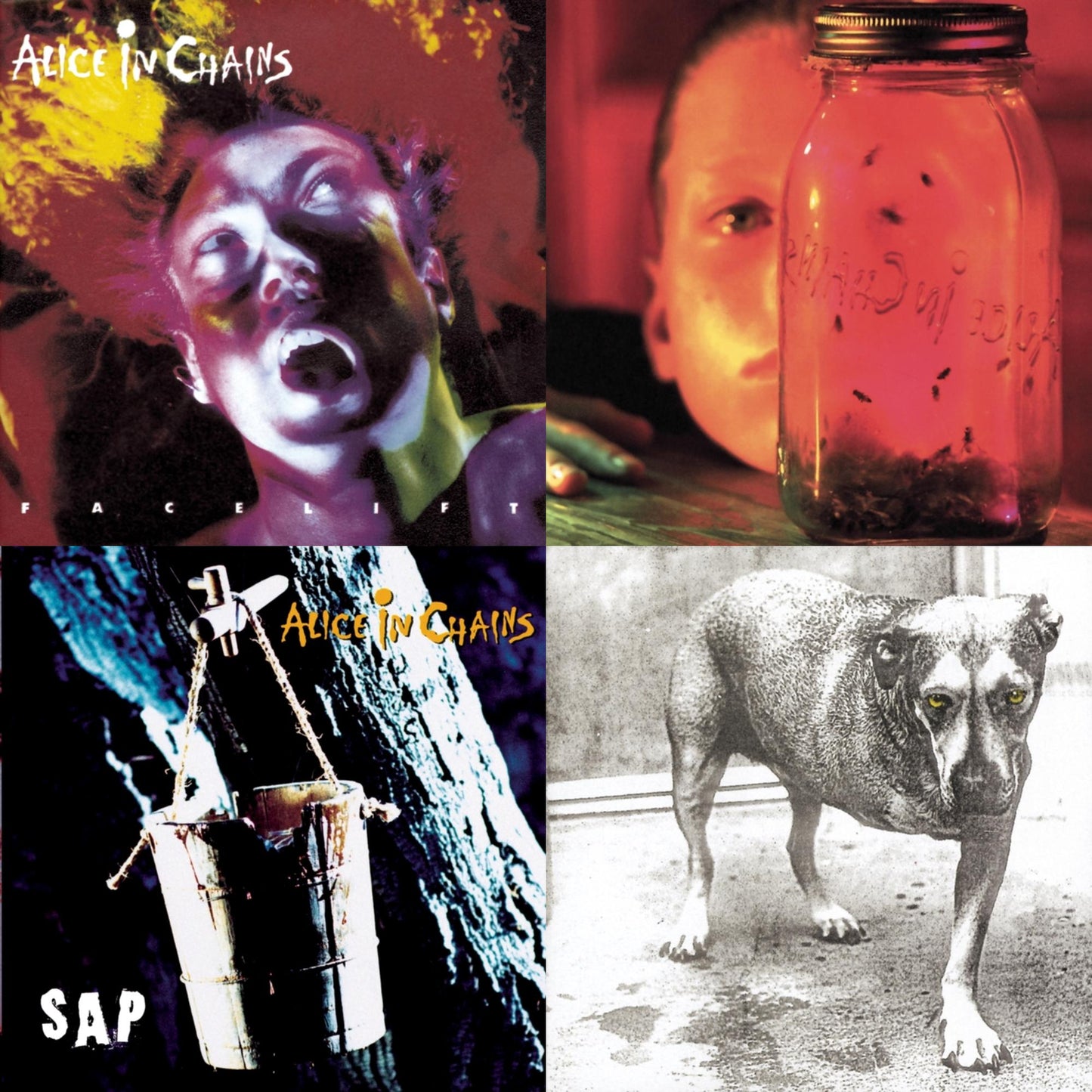 Jar Of Flies & Sap & Facelift & Alice In Chains