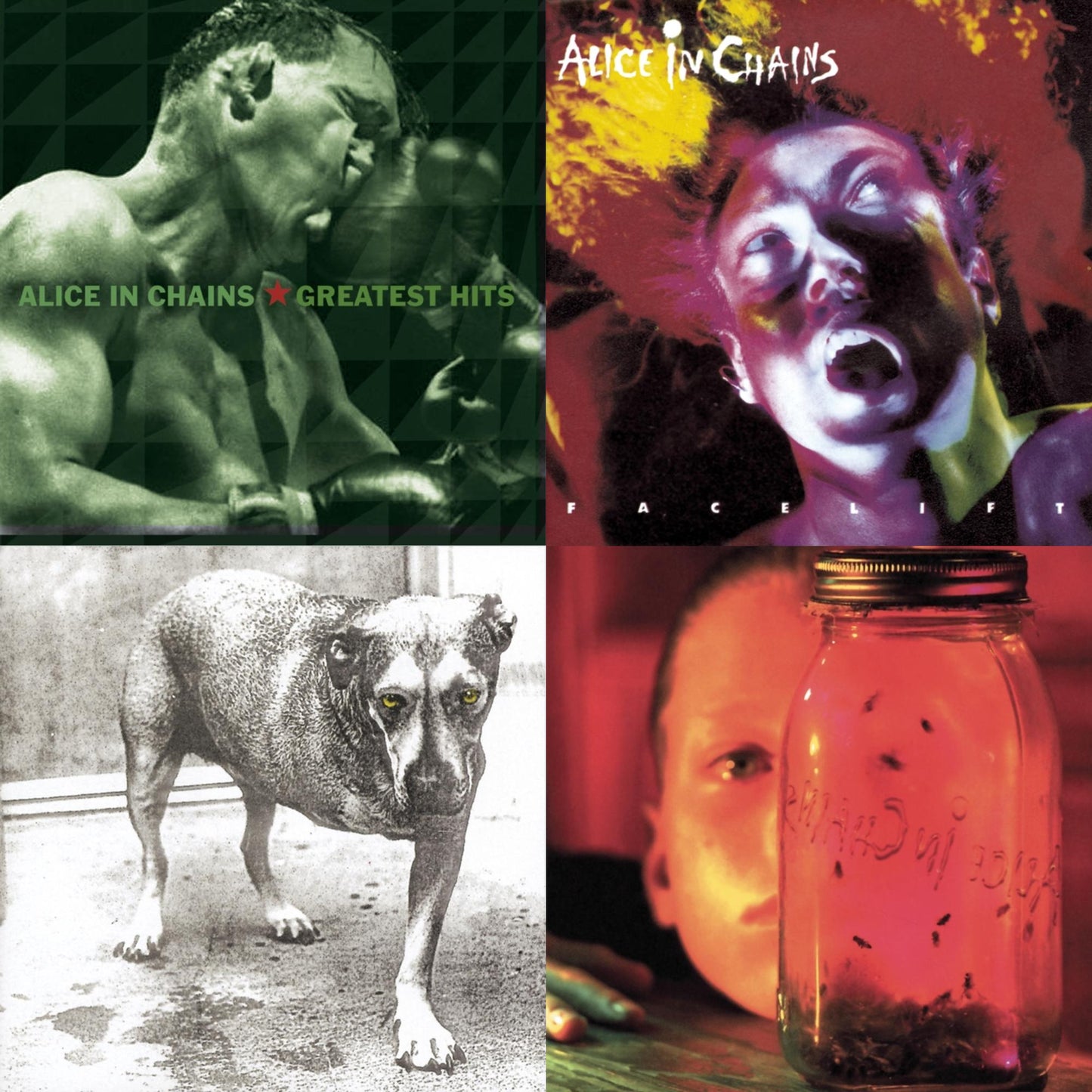 Jar Of Flies & Greatest Hits & Facelift & Alice In Chains