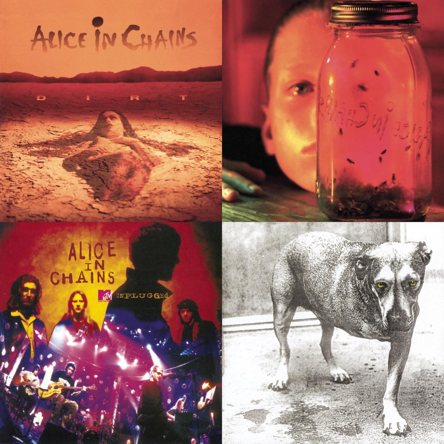 Dirt & Jar Of Flies & Unplugged & Alice In Chains