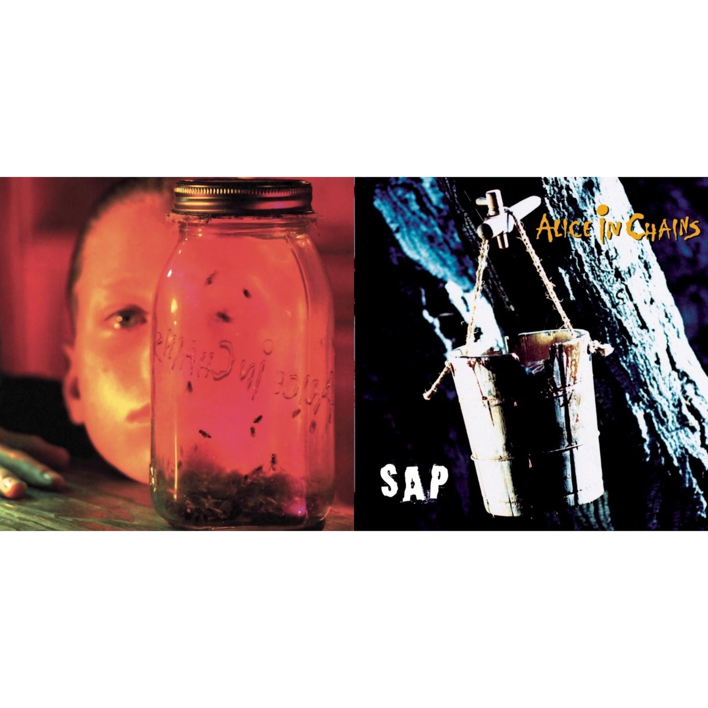 Jar Of Flies & Sap