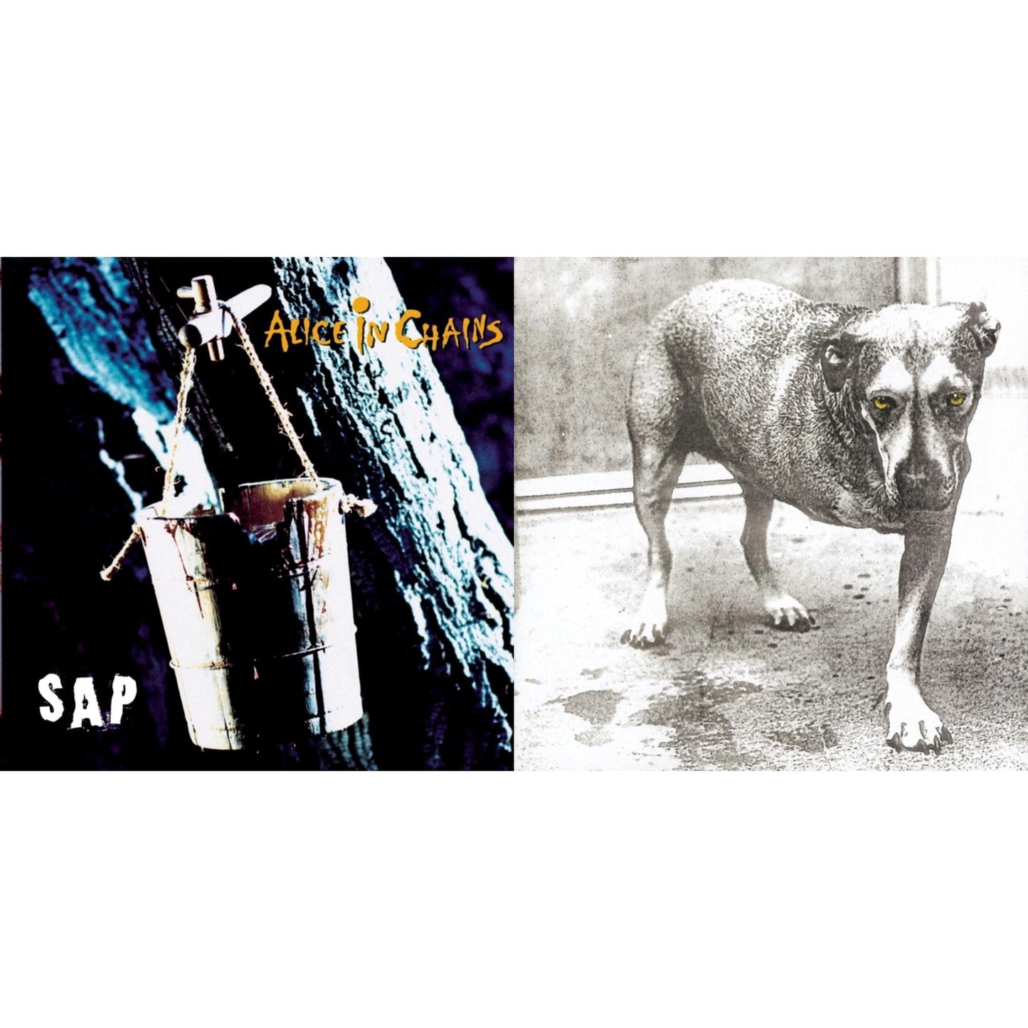 Sap & Alice In Chains