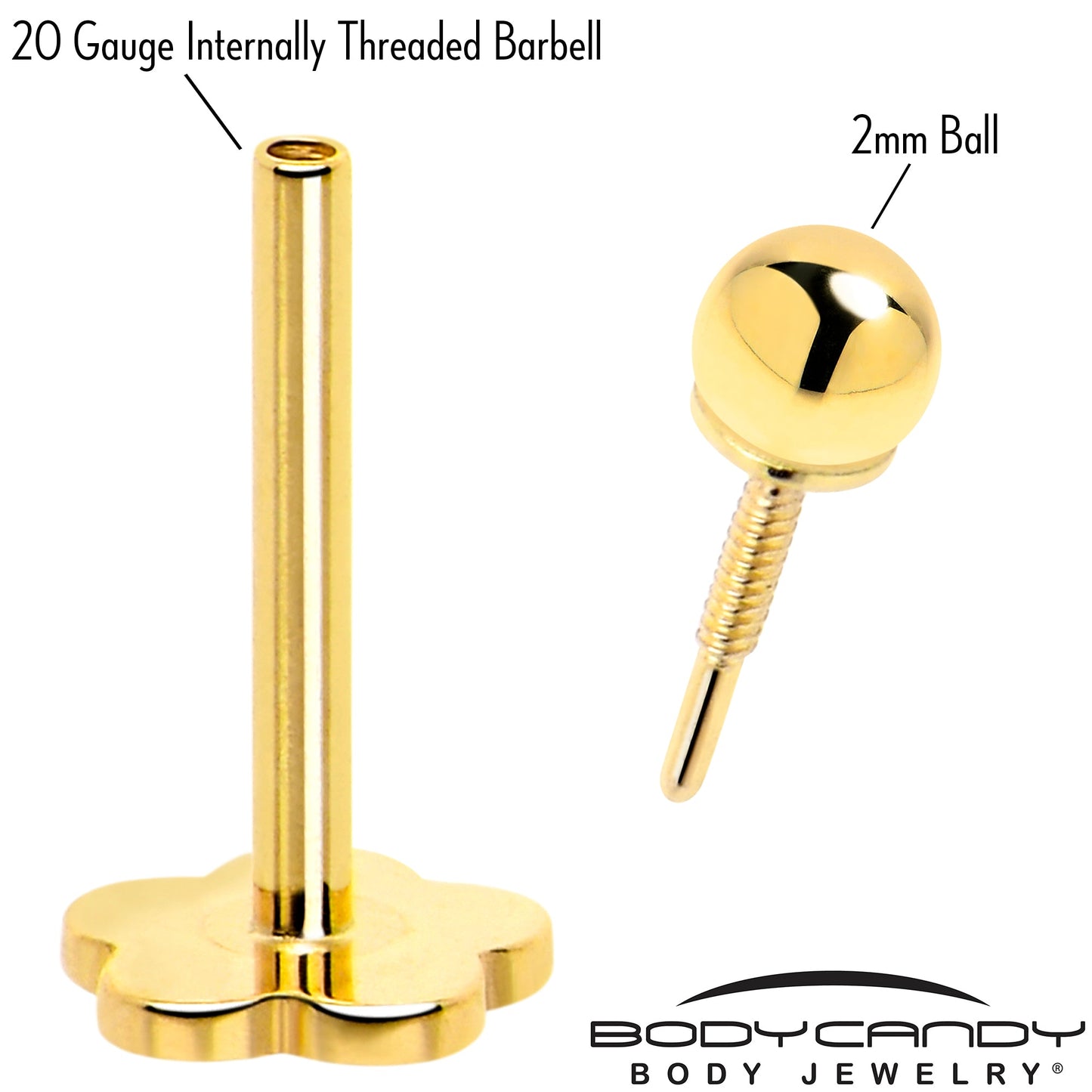 14k Yellow Gold Flat Back Earring 20G 2mm Ball Floral Reversible