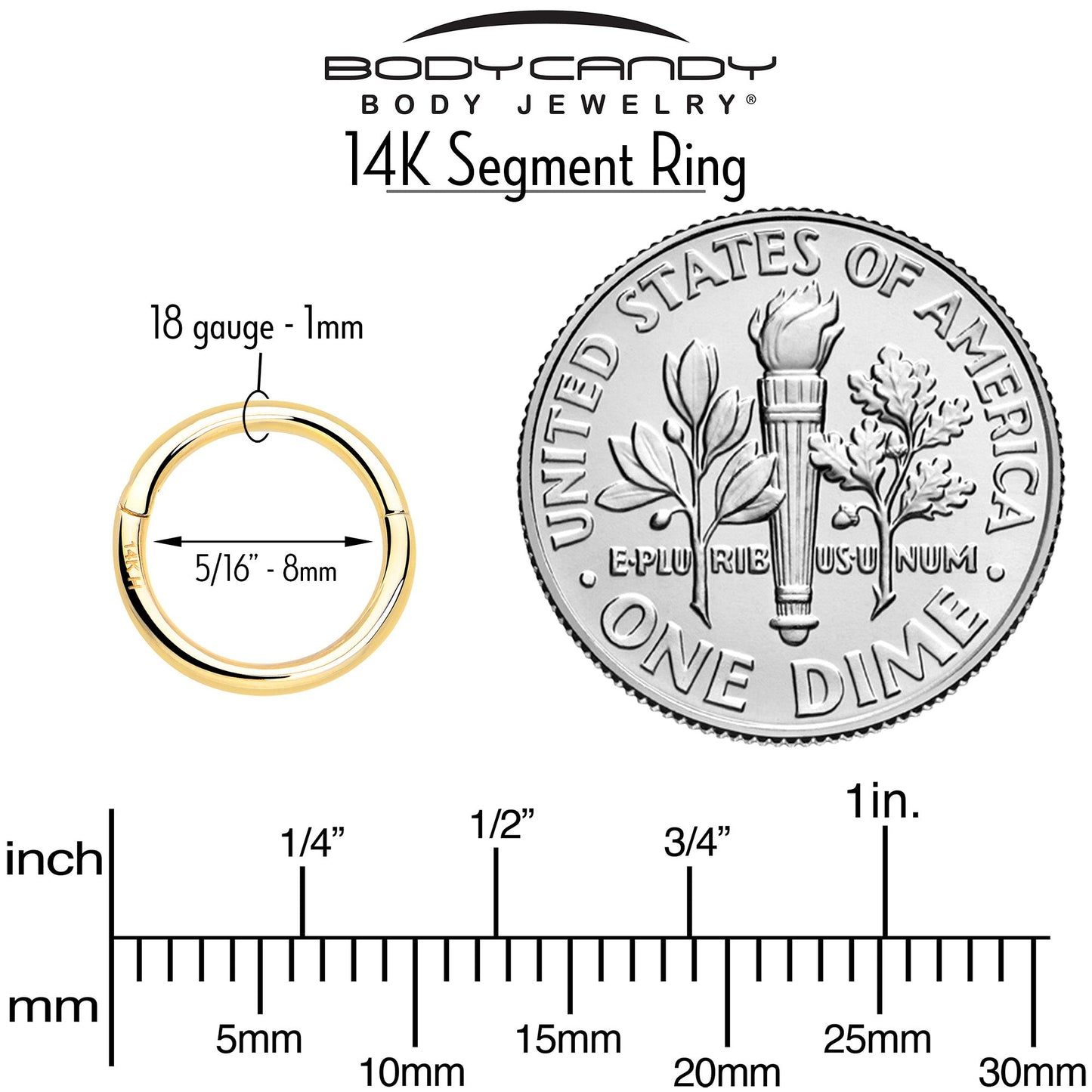 14k Solid Yellow Gold Hinged Segment Ring Elegance 18G 5/16