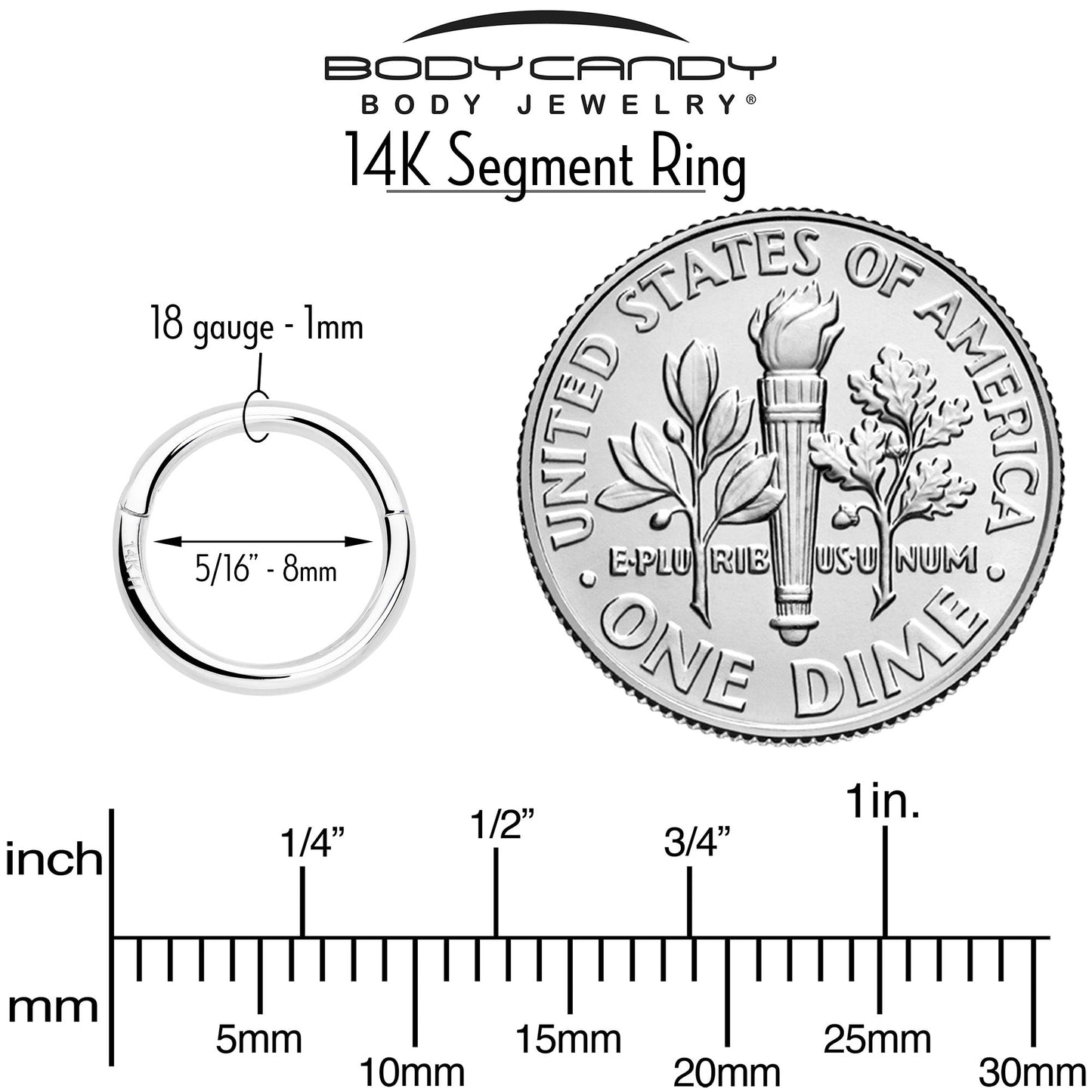 14k Solid White Gold Hinged Segment Ring Elegance 18G 5/16