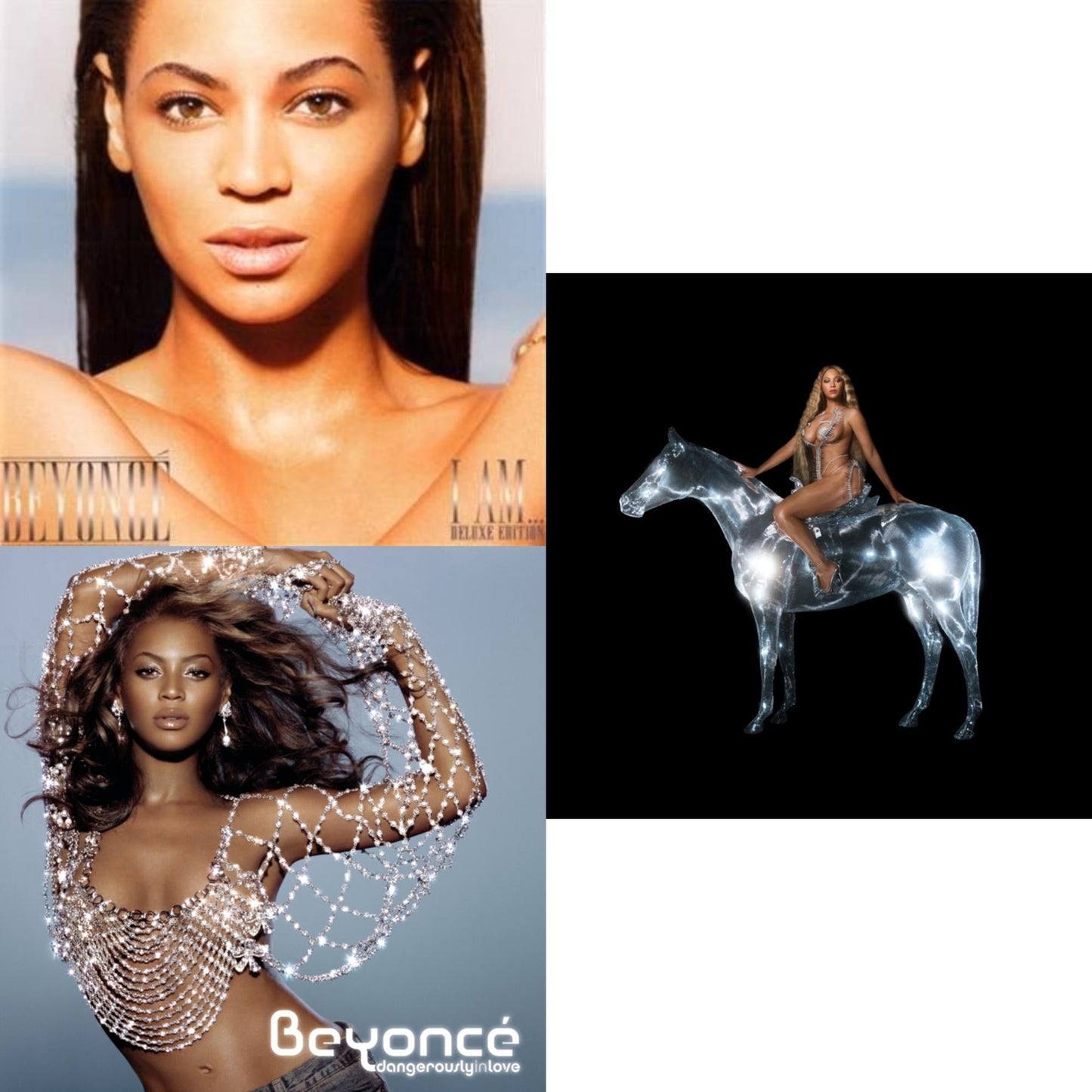 Renaissance (X) & I Am Sasha Fierce & Dangerously In Love
