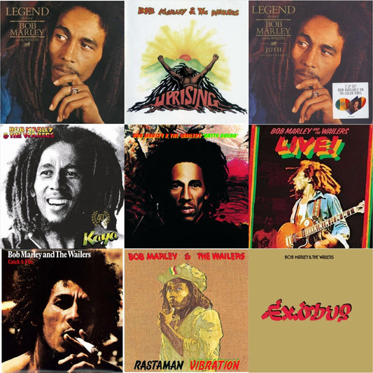 Legend & Natty Dread (180G) & Catch A Fire & Legend (30Th Anniversary) & Live (180G) & Rastaman Vibration & Exodus & Uprising & Kaya 40 (2 LP)