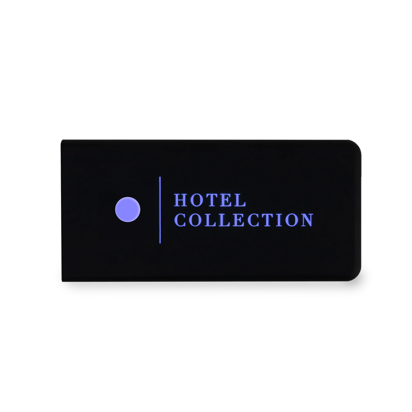 Portable USB Charger