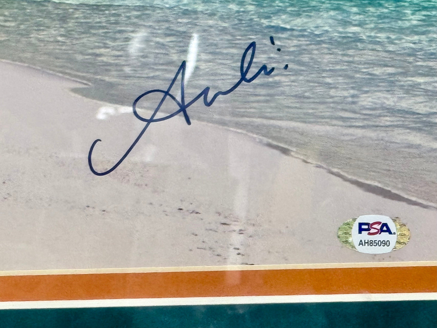 Auli'i Cravalho Signed & Custom Framed Disney Moana 11x14 Photo With JSA COA