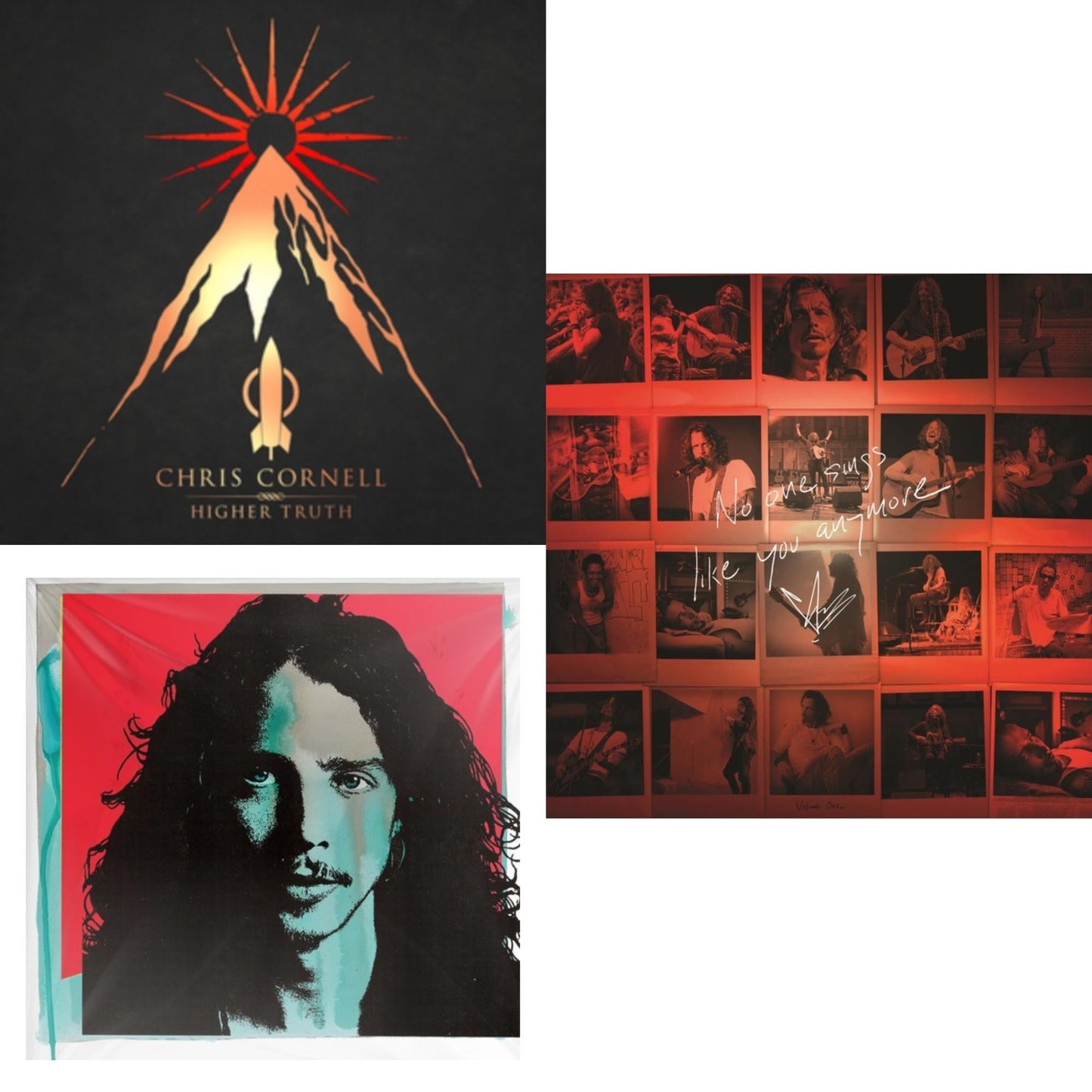 No One Sings Like You Anymore (Picture Disc) & Higher Truth & Chris Cornell (2LP/180G)