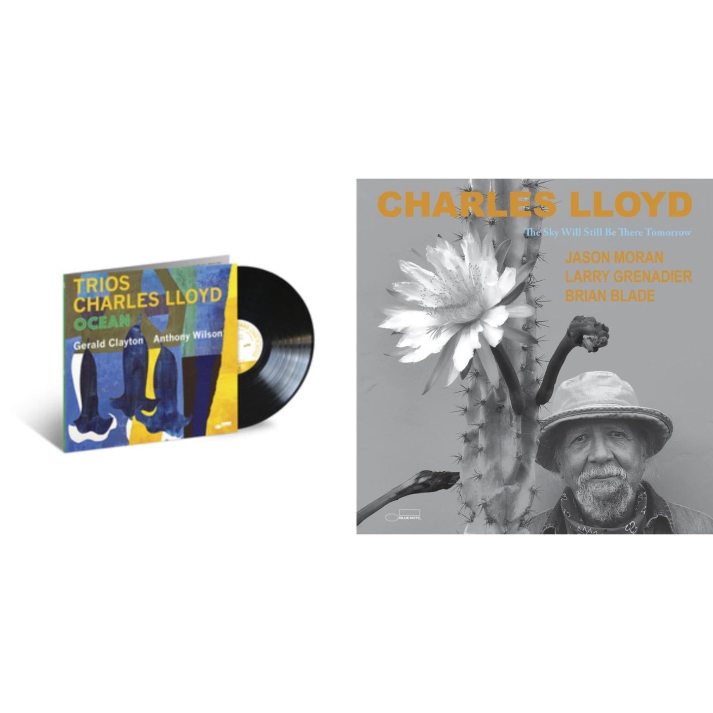 Trios: Ocean & Sky Will Still Be There Tomorrow (2LP)