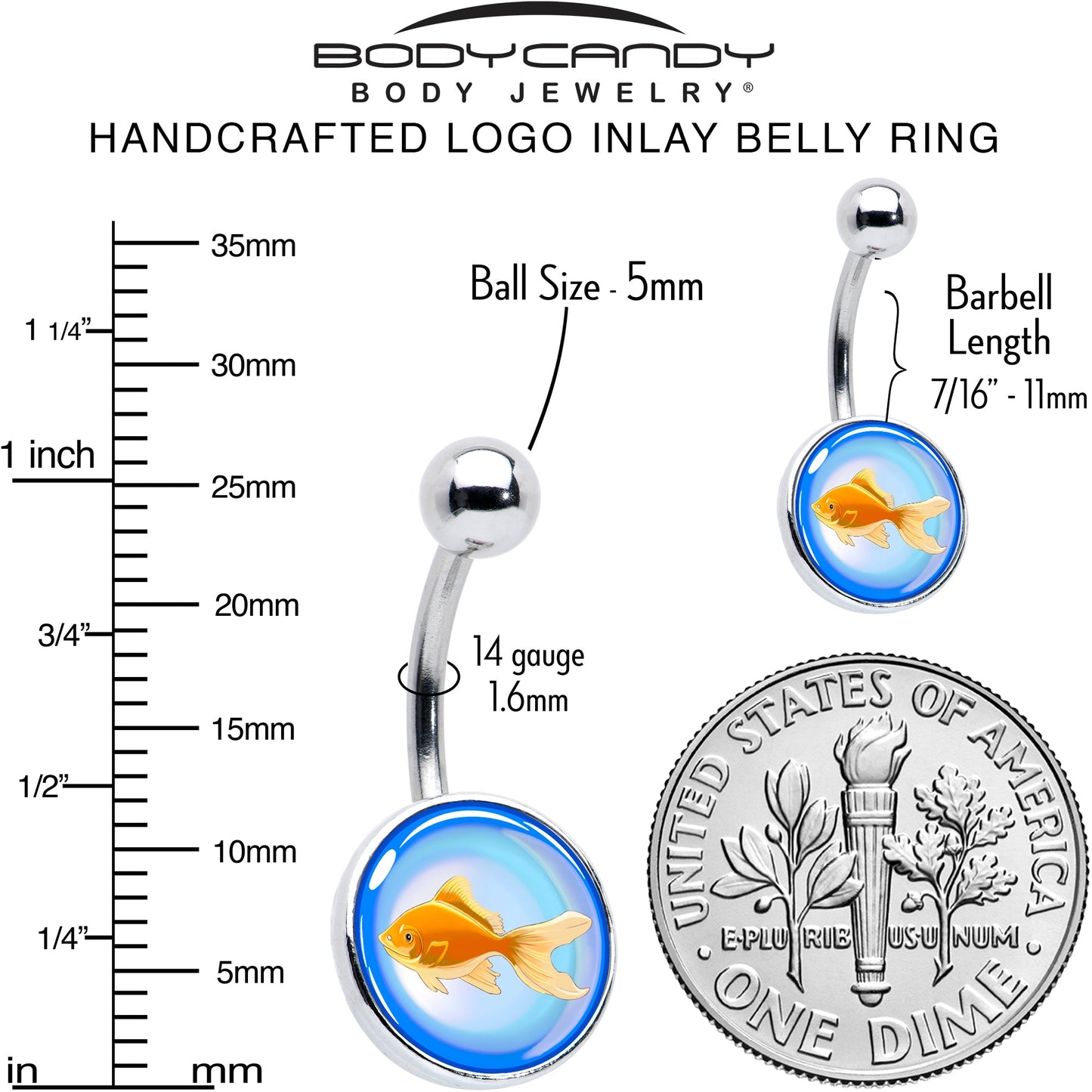 Gold Fish Belly Ring by Onyx O