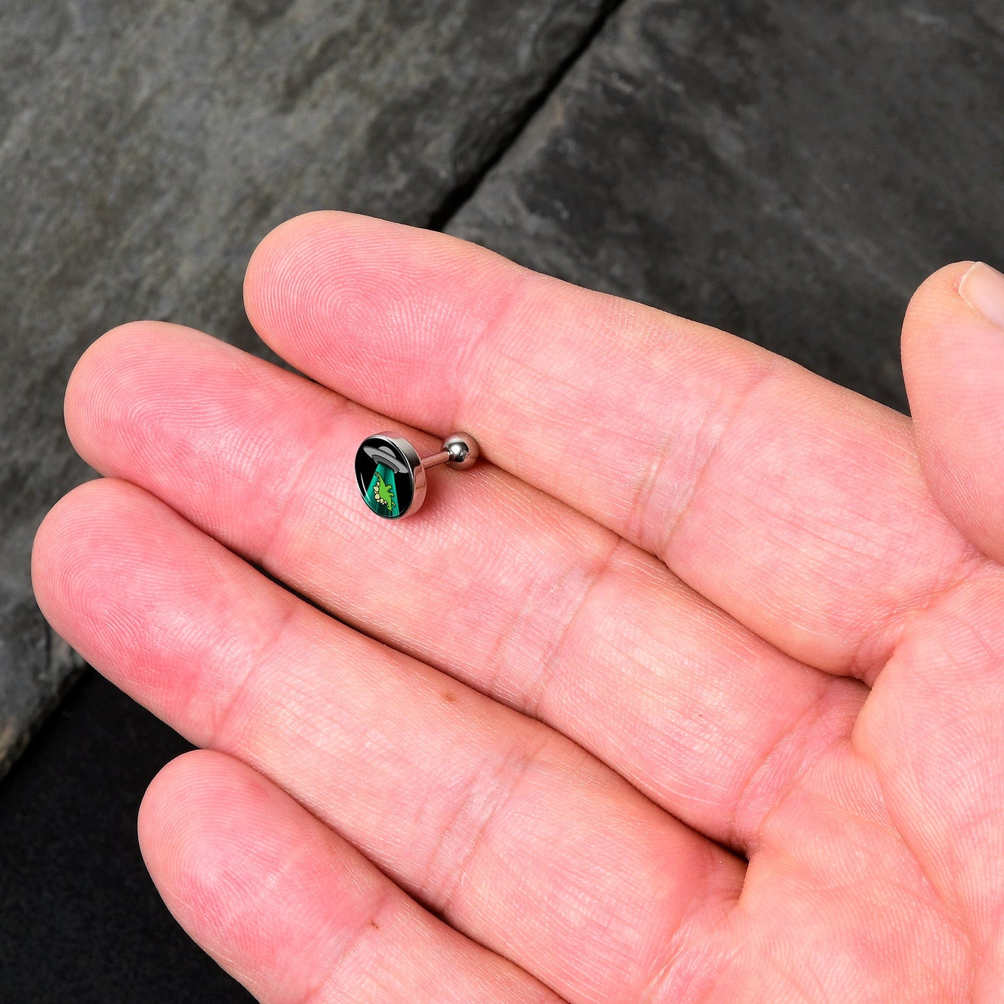 16G 1/4 Alien UFO Dinosaur Abduction Cartilage Tragus Earring by Onyx O