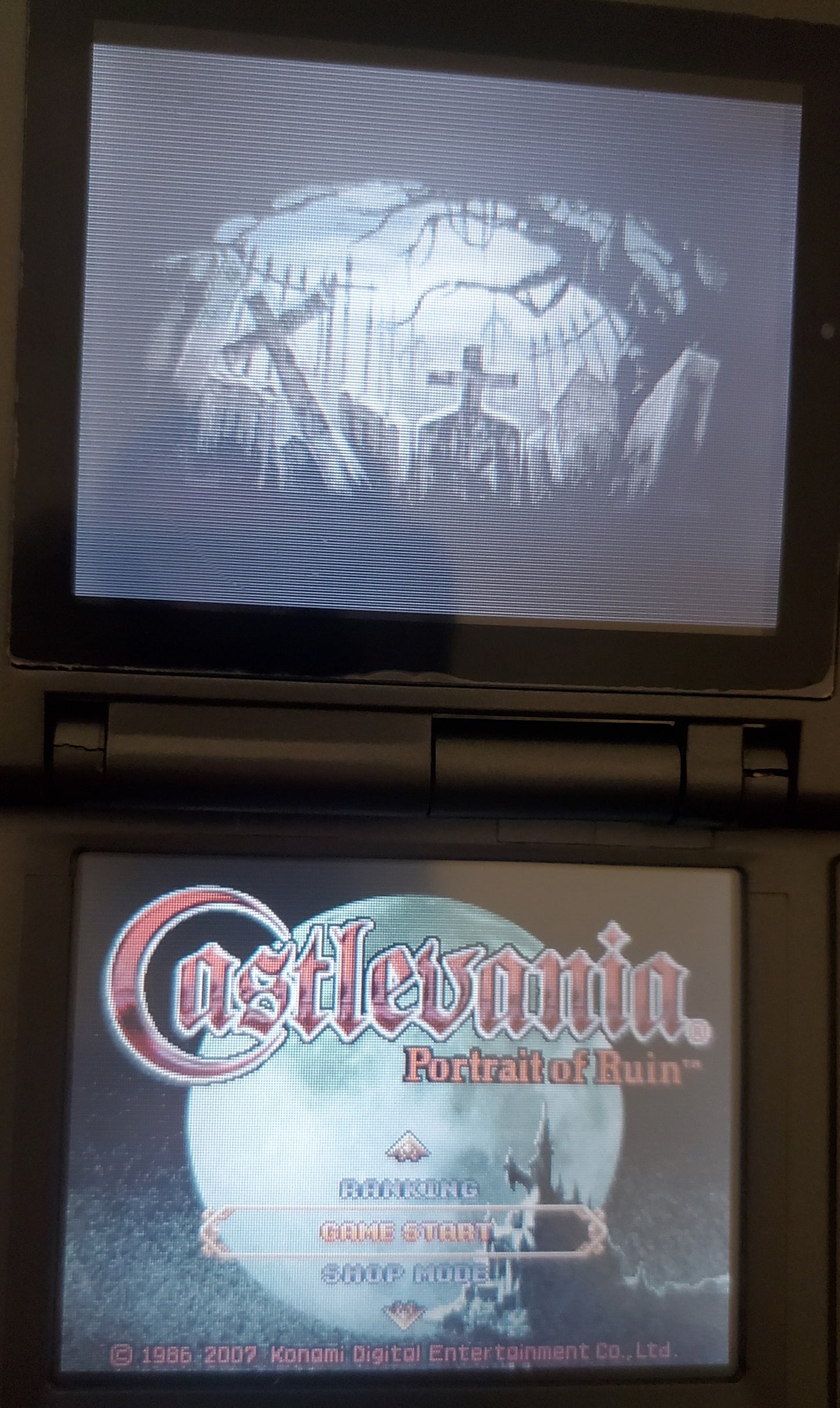Castlevania Portrait of Ruin Video Game Nintendo DS