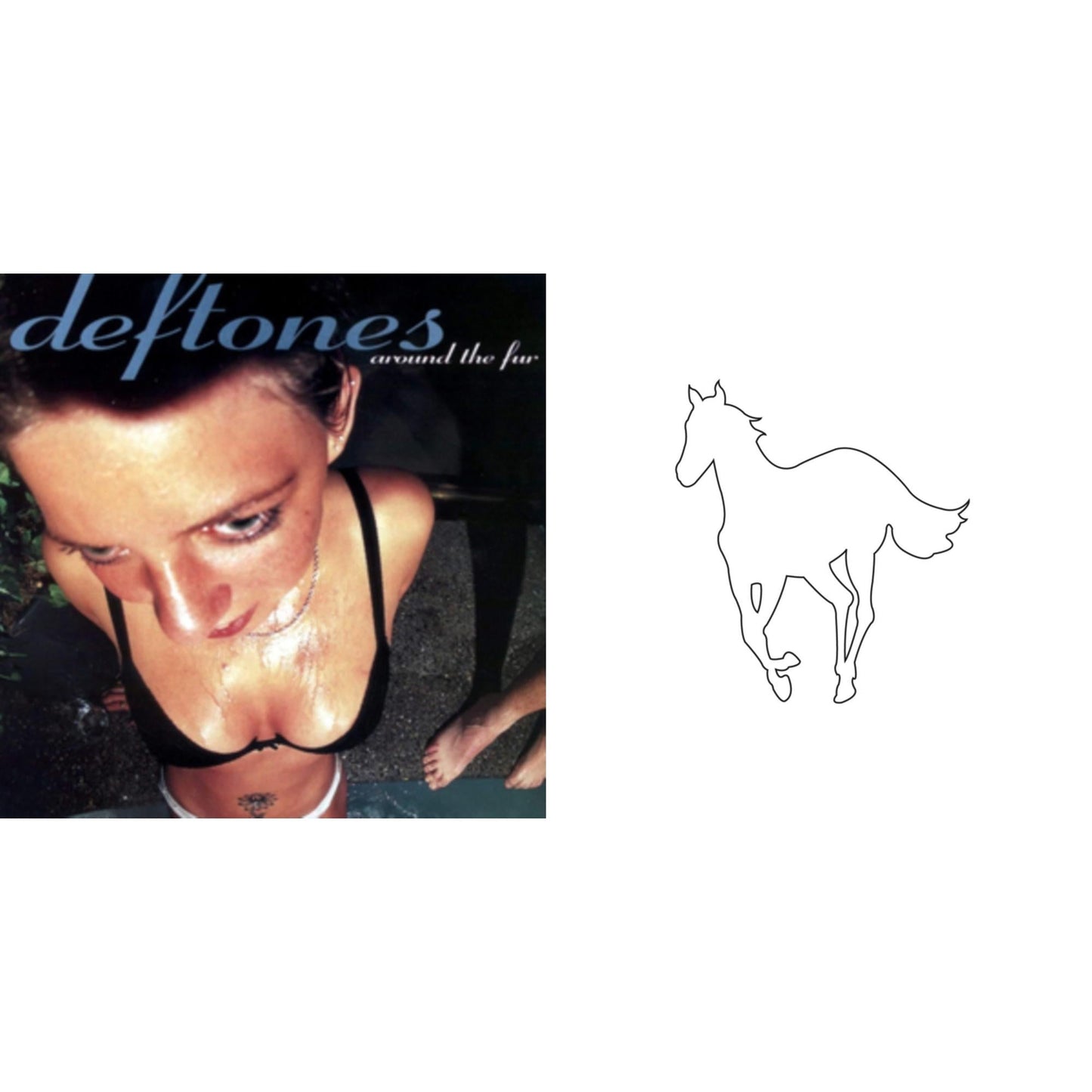 Around The Fur & White Pony