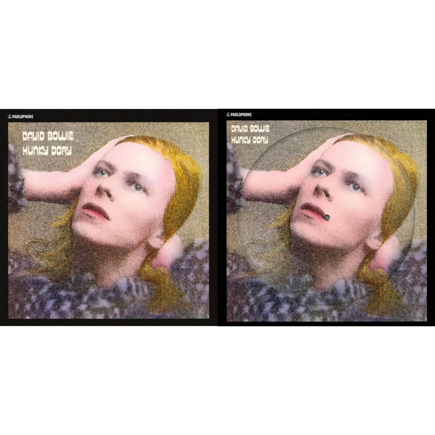 Hunky Dory (2015 Remaster/50Th Anniv/Picture Disc) & Hunky Dory