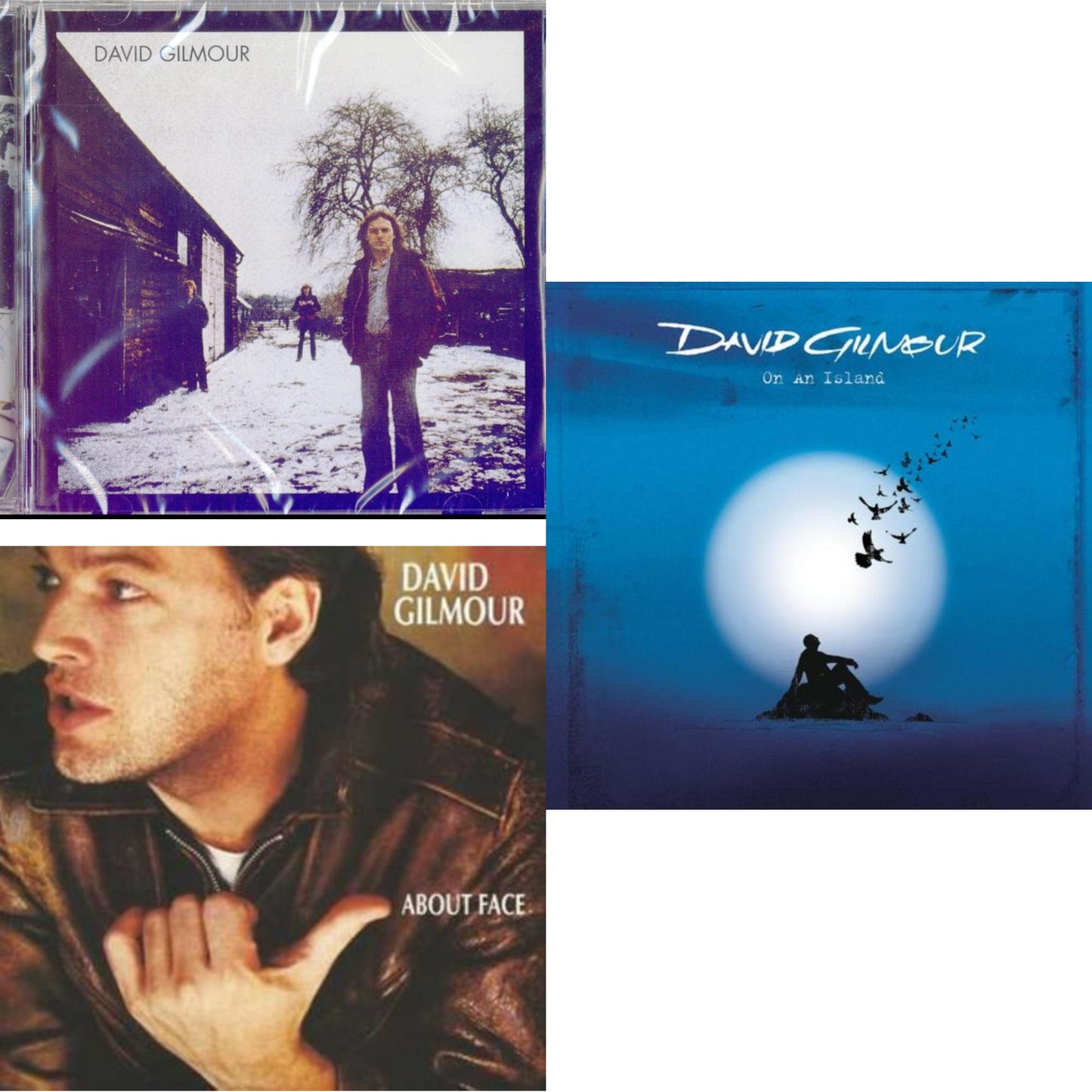 On An Island & David Gilmour & About Face