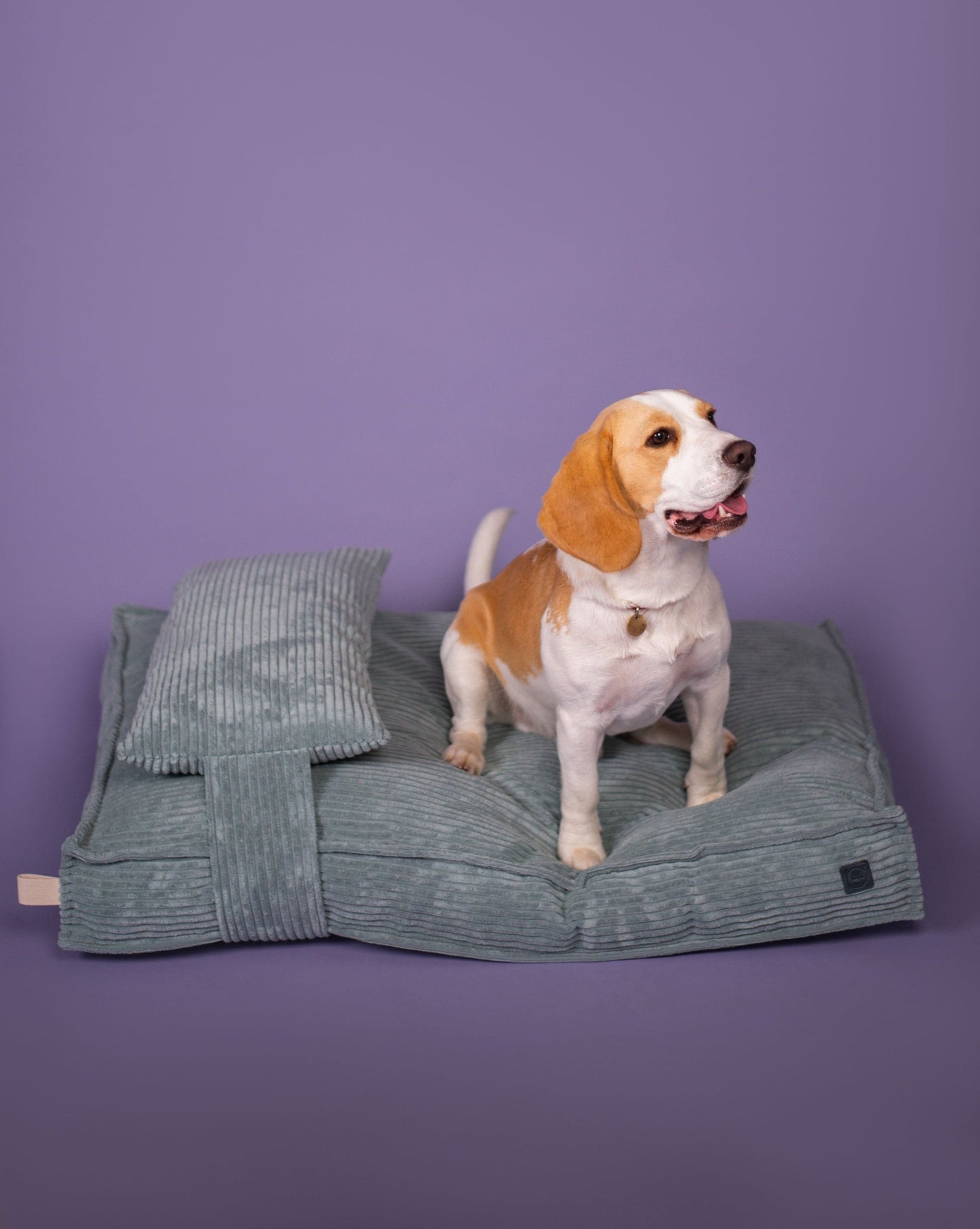 Memory Foam Dog Bed