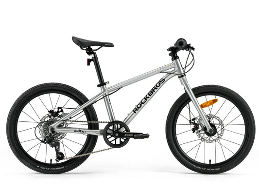 Darwin III 20-Inch Kids Bike