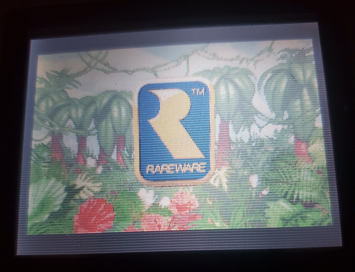 Donkey Kong Country 1 GBA Video Game Boy Advance 2003