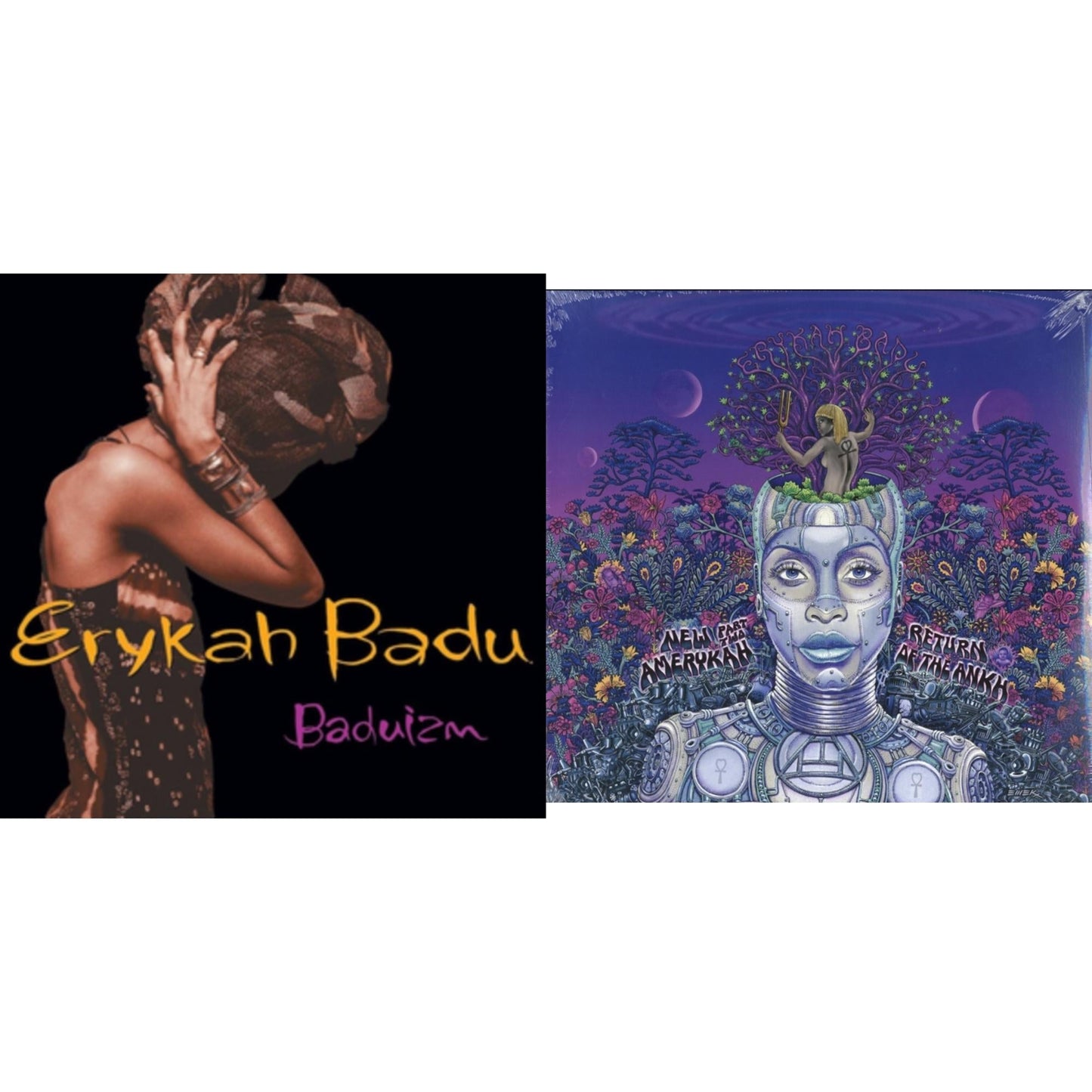 New Amerykah Part 2: Return Of Ankh & Baduizm