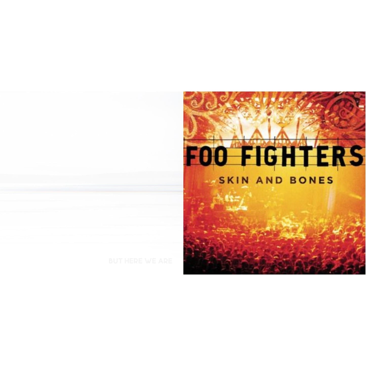 But Here We Are (White LP Vinyl) & Skin & Bones (2LP/Dl Card)